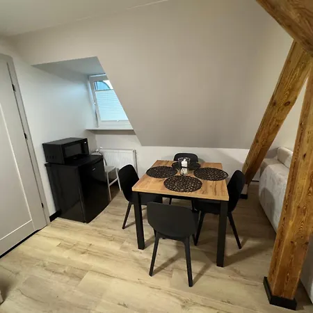 Apartment Przy Parku Elbing