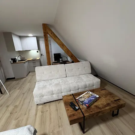 Przy Parku Apartment *
