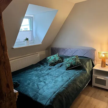Apartment Przy Parku Elbing