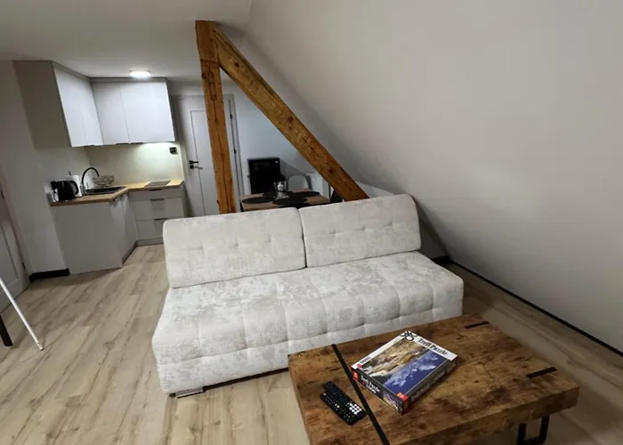 Przy Parku Apartament *